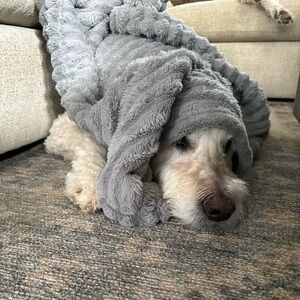 Meet your Posher, Kiki